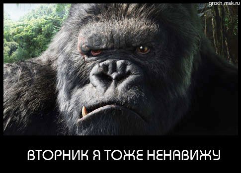 Посудомоечная Машина Comenda Lc 700 Инструкция По Применению Посудомоечная Машина Comenda Lc 700 Инструкция По Применению