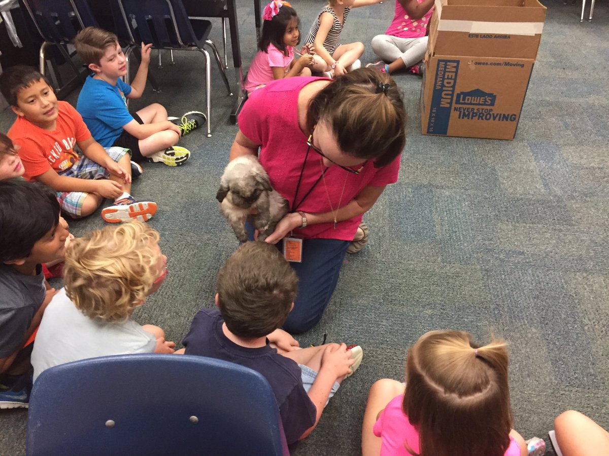 Lisa Brown tweet media