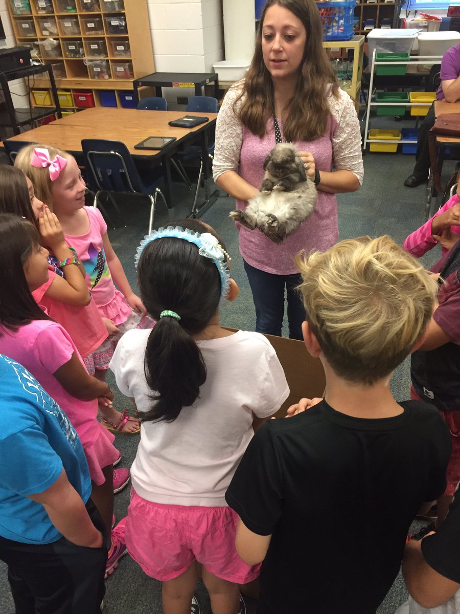 Lisa Brown tweet media