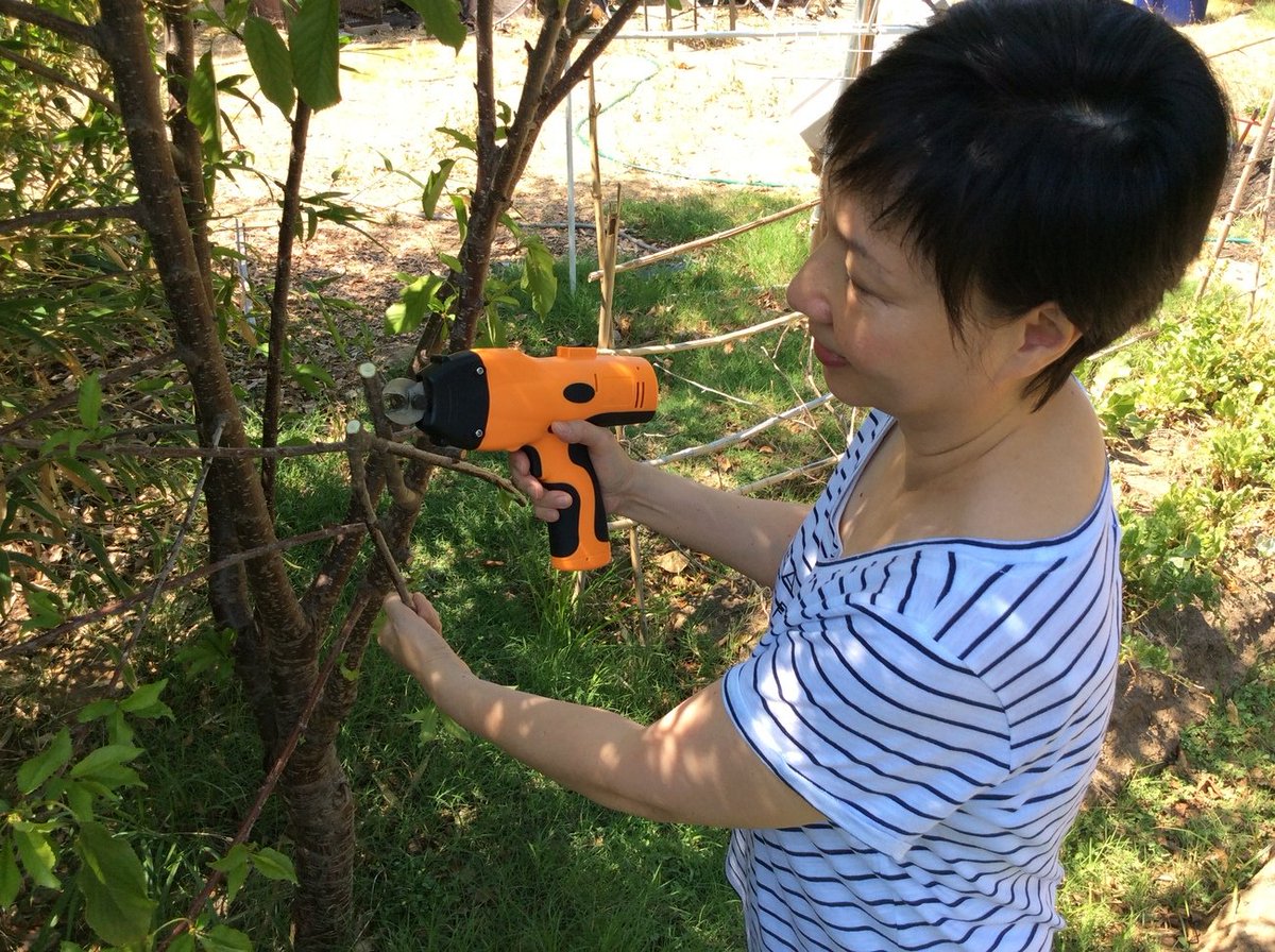 evanvar's tweet image. Pre-Order: Kuicut Handy #PowerCutter &amp;amp; Tool gdfl.co/2e7t2y4 Must have for your household needs! #DIY