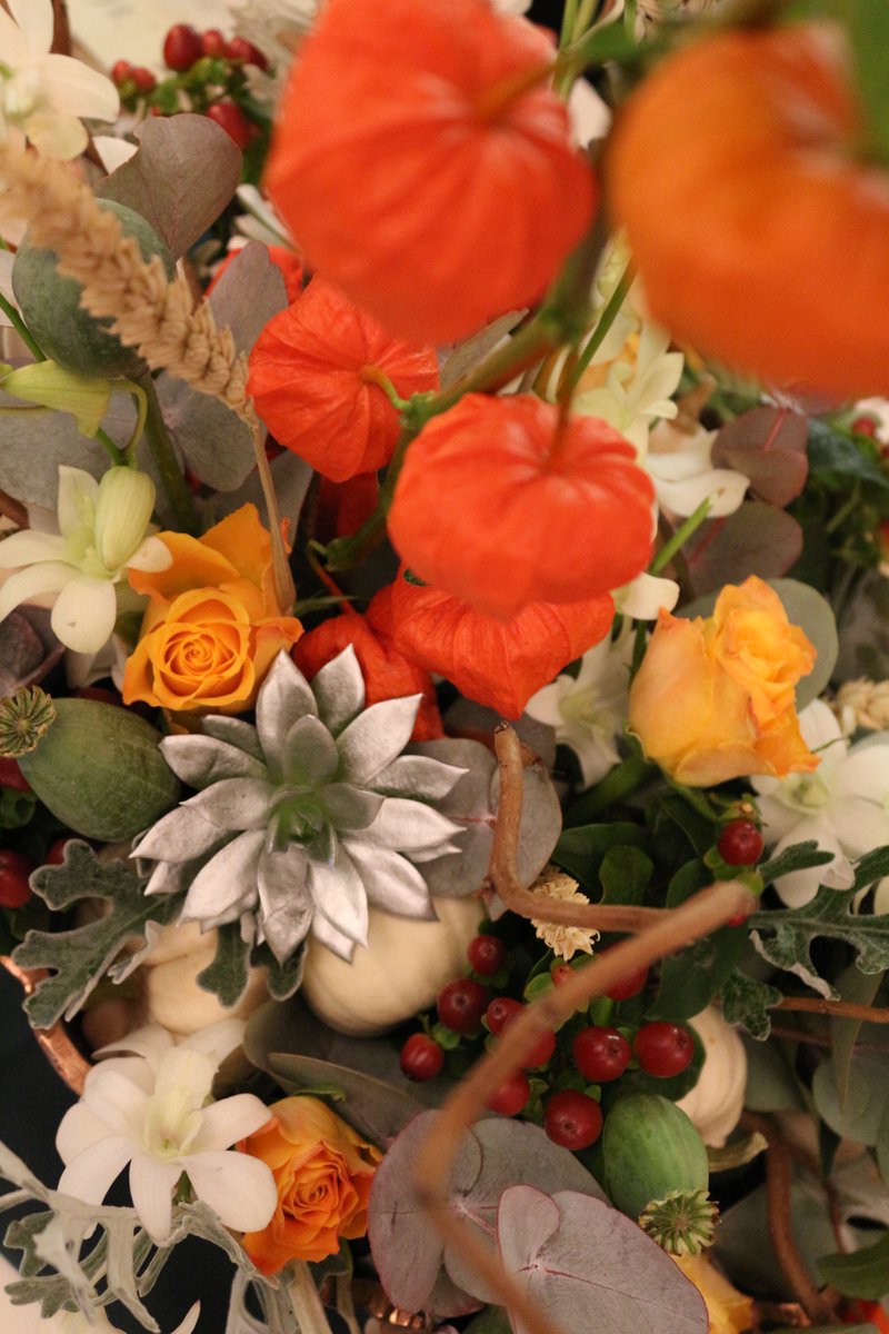 RevivalRooms's tweet photo. It is so cosy in the office today. We're loving planning Autumnal designs &amp; taking inspiration from our past events #autumn #autumnevents https://t.co/B19pbVbaqn