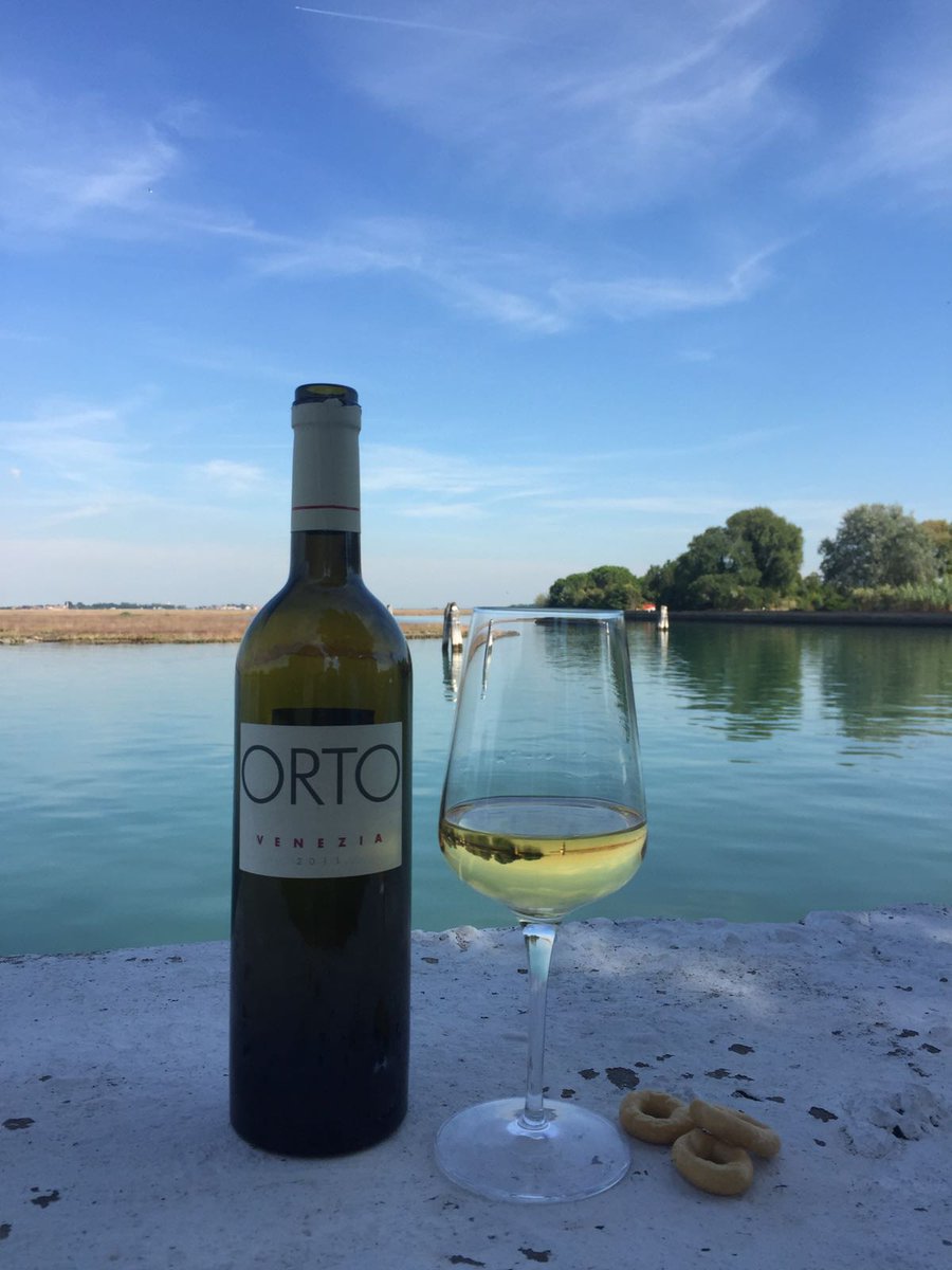 Cheers to fall in #Venice! October is a great month to explore the city's secret treasures, including hidden wineries of the lagoon.