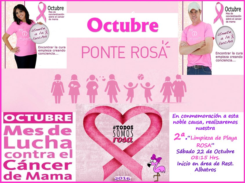 FlamingoNews's tweet photo. @DAVIDROMEROVARA Sabado 22 a las 08:00 Hrs. Limpieza de Playa en ROSA, H. Flamingo Cancun, se une a la sensibilización sobre Cáncer de Mama. https://t.co/NlEPmyMJqc