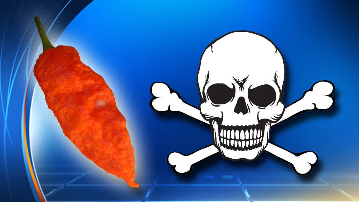 Man eats Ghost #Pepper, spends 23 days in hospital after emergency surgery bit.ly/2eNe7sr?utm_me… https://t.co/cKz2thDePZ