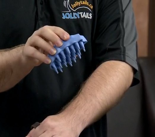 CTVYMAtlantic's tweet photo. ICYMI: Tools and tips for dealing with #pethair from @TristanCPDT @Jollytails https://t.co/SmOw2XJdZ0 https://t.co/PoSfjeJqQt