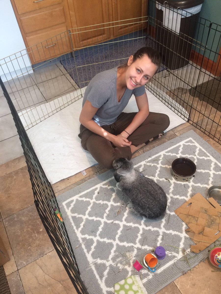 OSUDSP's tweet image. Brothers volunteering at Ohio Rabbit House! #OSUDSP