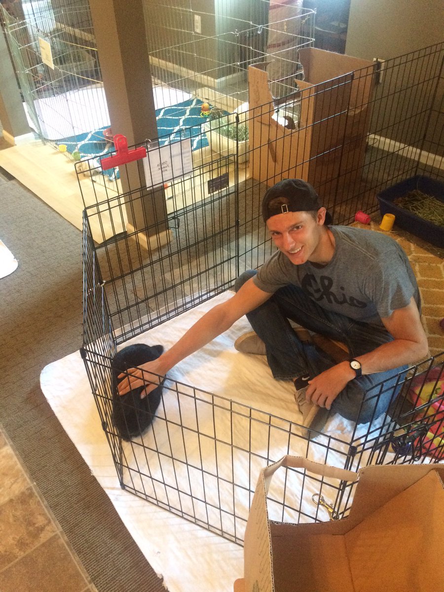OSUDSP's tweet image. Brothers volunteering at Ohio Rabbit House! #OSUDSP