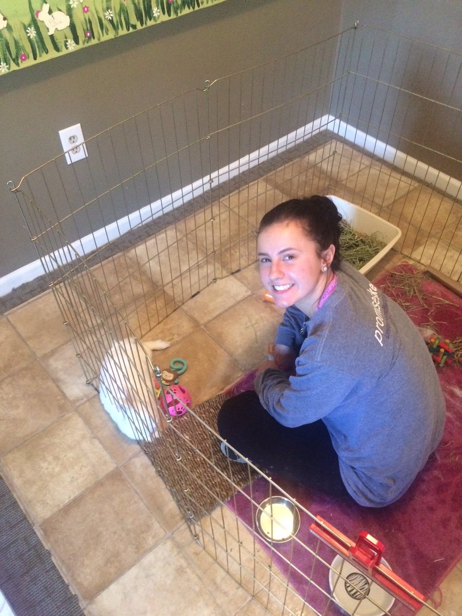 OSUDSP's tweet image. Brothers volunteering at Ohio Rabbit House! #OSUDSP