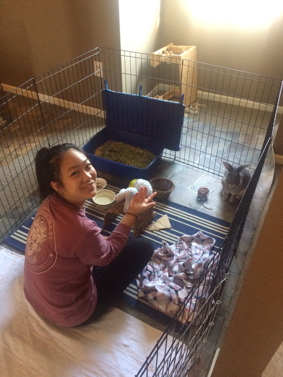 OSUDSP's tweet image. Brothers volunteering at Ohio Rabbit House! #OSUDSP