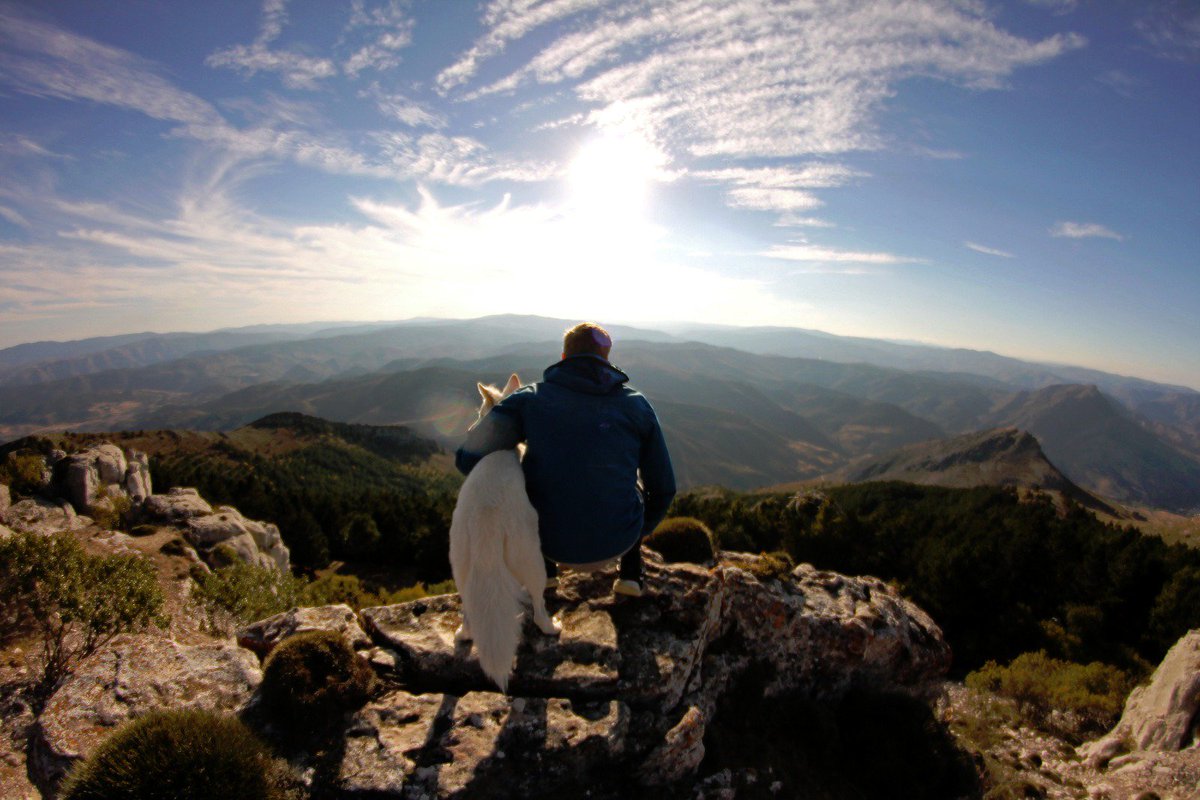 Δαβίδ tweet media