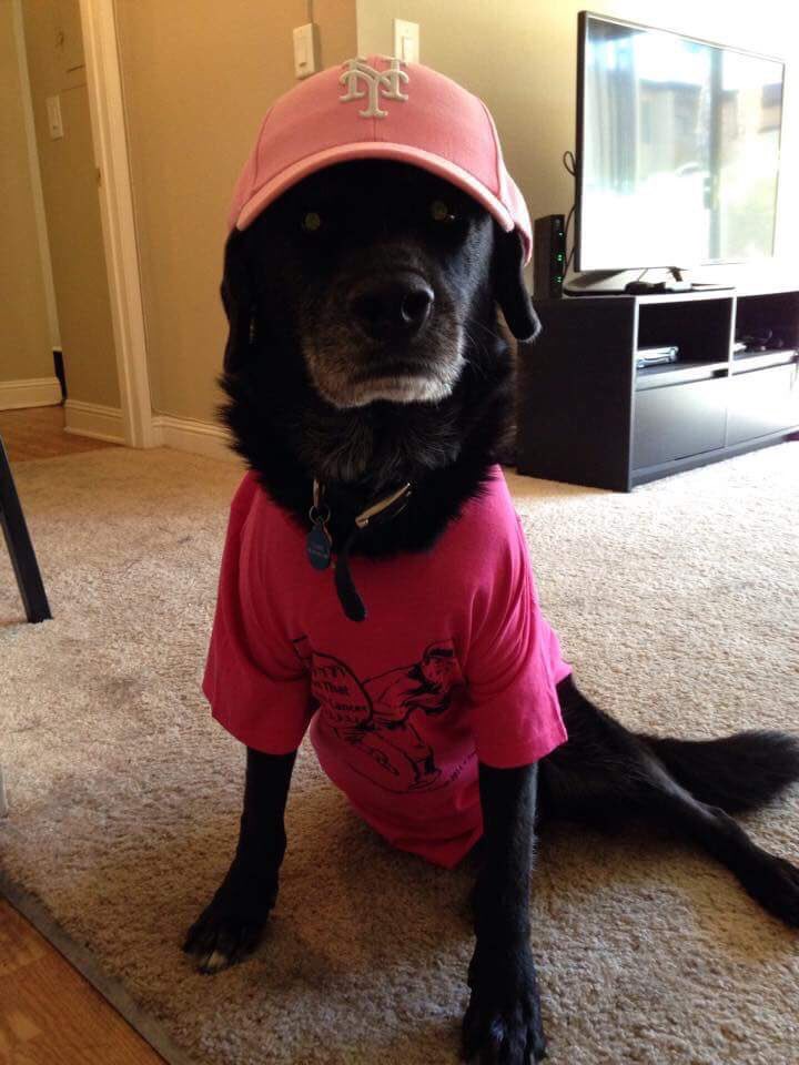 SOTSBC's tweet photo. Only three days left to donate towards @MakingStridesSM walk this Saturday!! https://t.co/jEQkT2zUr5 #SOTSBC https://t.co/KulWW9Tk4w