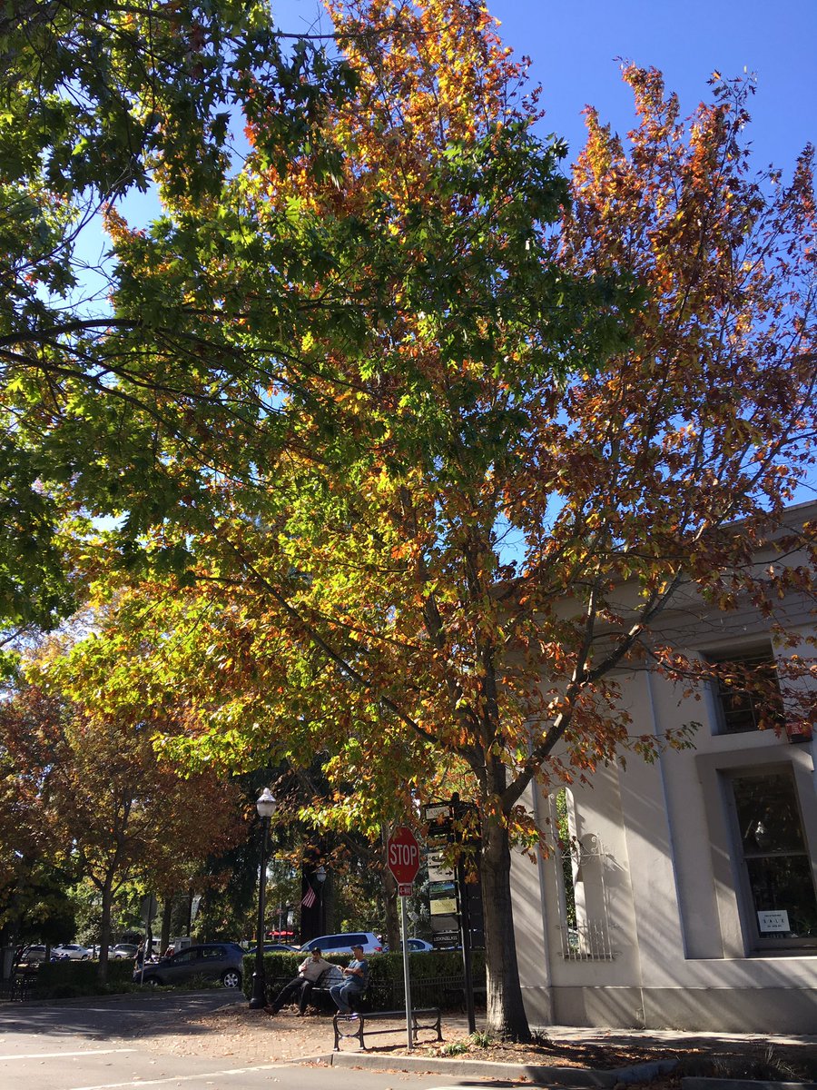 Fall into fall in Healdsburg #TravelTuesday #healdsburg #SonomaCounty #October #fall