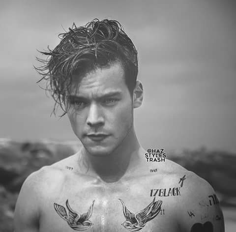 Styles0New's tweet photo. 🌟✨ Ella habla de ti, como si fueras tu , quien pone las estrellas en el cielo ✨🌟❇

@Harry_Styles https://t.co/KNgCMEAVkT