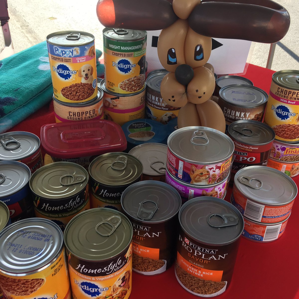 QueenCityFairNC's tweet photo. $2 Tuesday begins! Come out and get your $2 entry with a donation of a can of dog or cat food to benefit Humane Society of Charlotte! https://t.co/9Ppxpkjqss