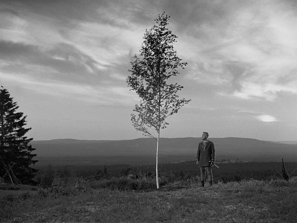 WillieMcGregor's tweet photo. Bergman Tuesday #virginspring https://t.co/UPDUqRhwnQ