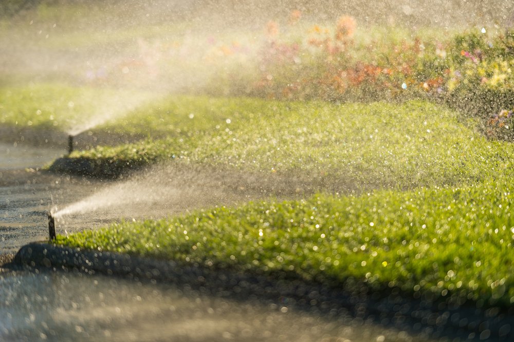 DudleysDewRight's tweet photo. Don't forget to change your watering routine now that the weather's changed up, too! #fall #autumn https://t.co/J1AaVVxkuw