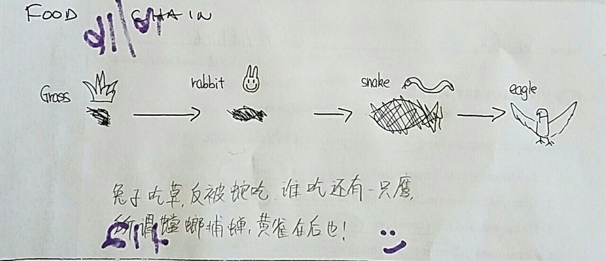arikandersen08's tweet photo. Food chain tied to student's language(chinese). #languageiscool @isd492 @PackerPowerUp #foodchain https://t.co/9T8bL73TxH
