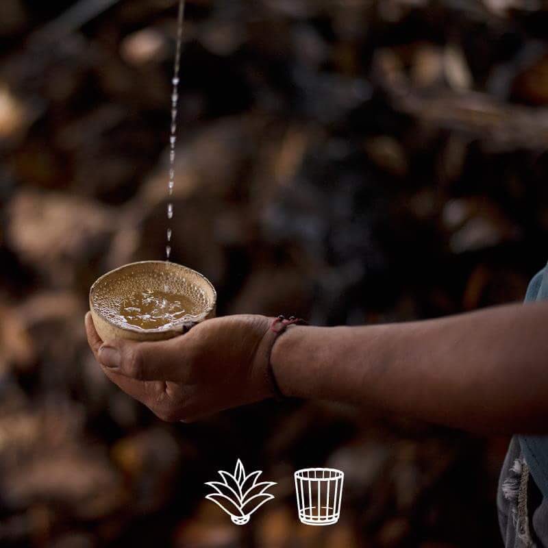 PorQueMezcal's tweet photo. El suave aroma de @EspirituLauro y el intenso sabor que deja en tu boca hará de este mezcal uno de tus preferidos. https://t.co/pEStkLsOUi