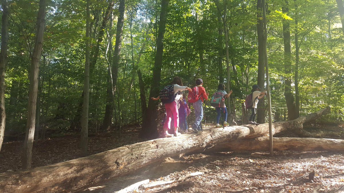 UrbanAdvSquad's tweet photo. What a beautiful day for a #RockCreekPark hike! We're w/our #JPDS #Squad, climbing/exploring/observing. #KidsOutdoors #DCLove https://t.co/Exg58w9xOv