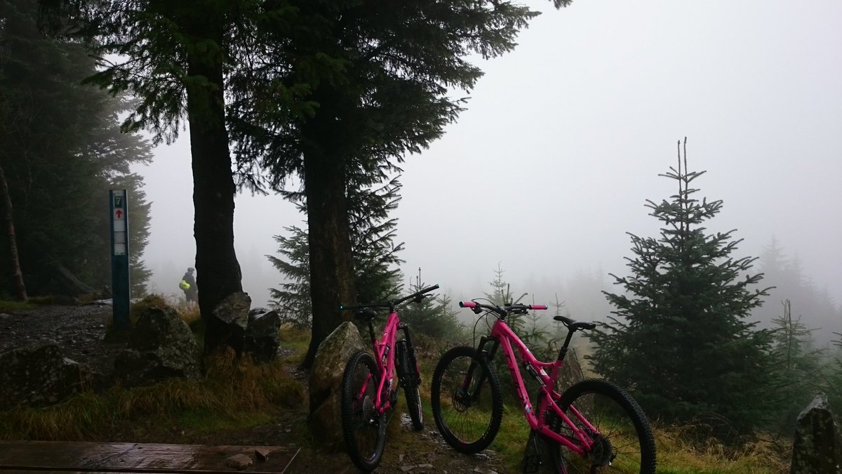 gaily_GF's tweet photo. Finally made it to Glentress! It pretty much rained all wknd but it was awesome, so much fun!!! #glentress #mtbtrails #sooomuddy https://t.co/ASmzu1o0y4