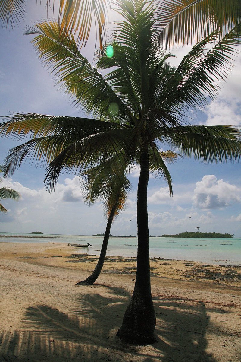 OnlyBadLuxury's tweet photo. Bora Bora 😻🌴 https://t.co/DM942hfzmk