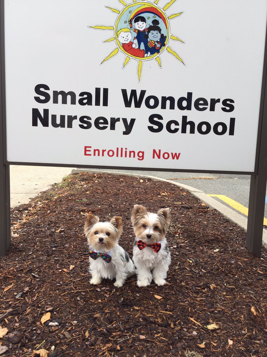 Dream Fetchers tweet media