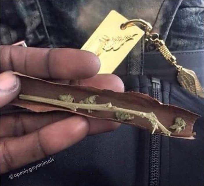 BuyLegalMedsCo's tweet image. If Monday was a blunt