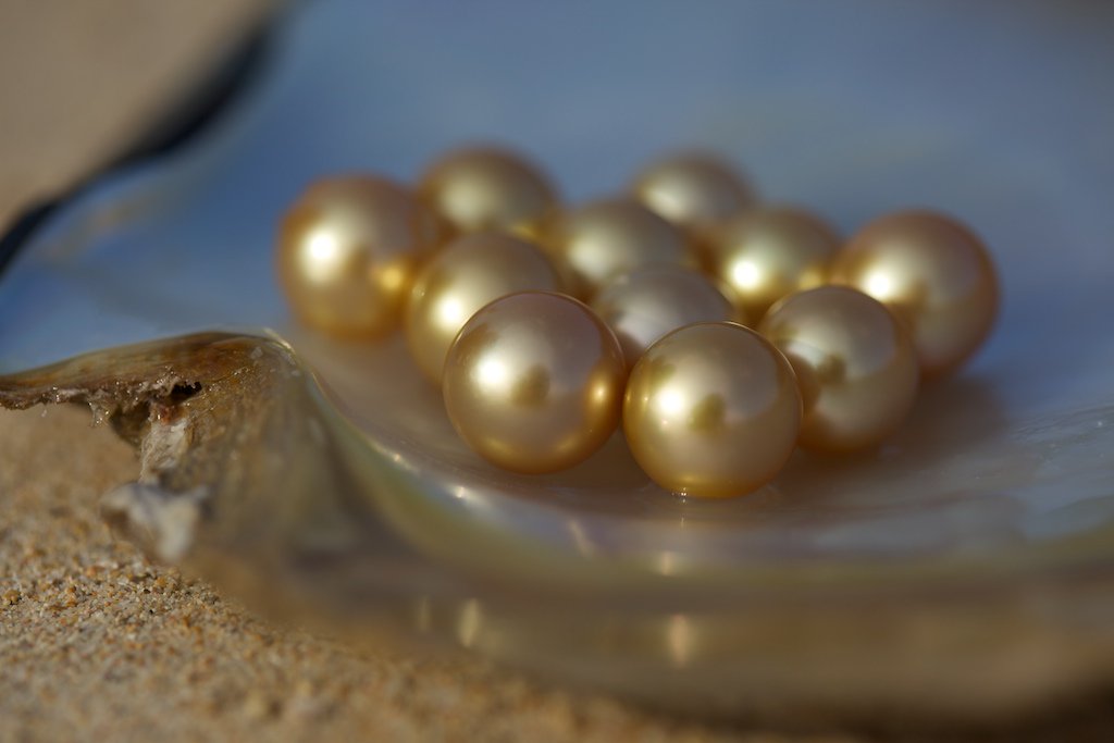 Join us for our <a href="/Jewelmer/">Jewelmer</a> #GoldenPearl Show in November! Call 864.233.5900 or email info@llynstrong.com for more info.