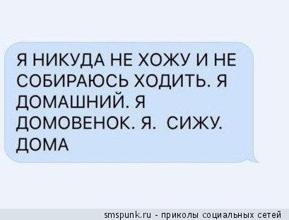 smspunk's tweet photo. Домовенок https://t.co/nvBZvRv0ro https://t.co/av4YaeBeD9