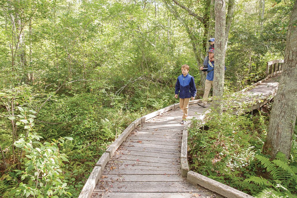 TheBayMag's tweet photo. Take a hike. https://t.co/e6jDVl6PQE #hiking #rhodeisland #hike https://t.co/DP3JtqjiUp