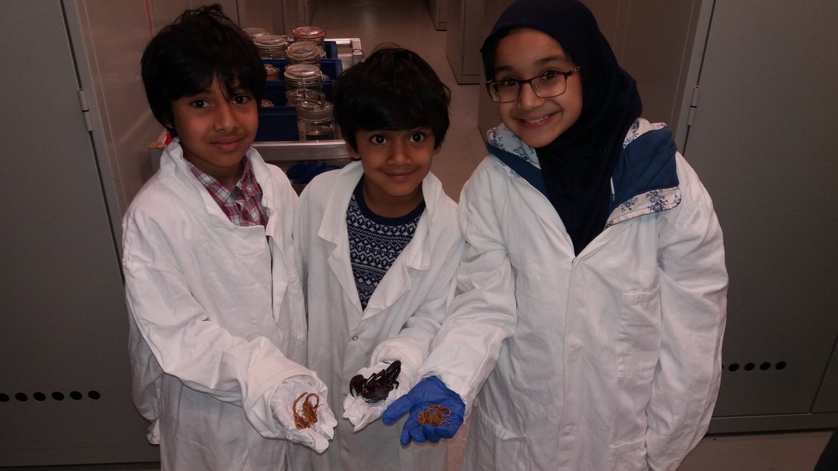 I was impressed how much the Khan children know about arachnids - in fact, I might just have to have them as my assistants! <a href="/NHM_London/">Natural History Museum</a>