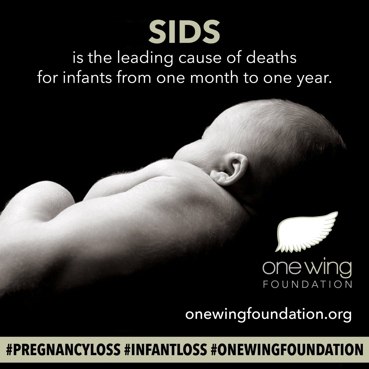 onewing_found's tweet photo. DID YOU KNOW?SIDS is the leading cause of deaths for infants from one month to one year. Let's end the stigma.#onewingfoundation #sids #1in4 https://t.co/oQoT0l69Db