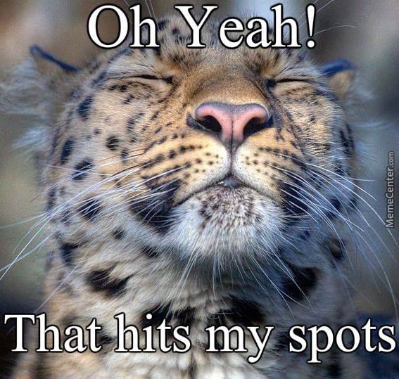 A little massage humor for your Tuesday afternoon! #massage #therapeuticmassage #relaxandrelease