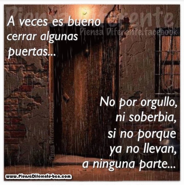 msignesserra's tweet photo. https://t.co/3fh7yEApIB