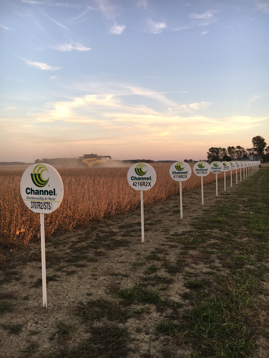 PribleAg's tweet photo. It's plot day! Data is coming in and our Channel beans are out-yielding the competition. Results to follow! @ChannelSeed @Channel_Indiana https://t.co/FThpyqLDw0