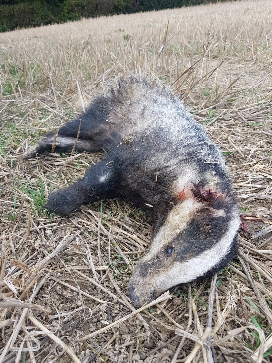 Andy Crow tweet media