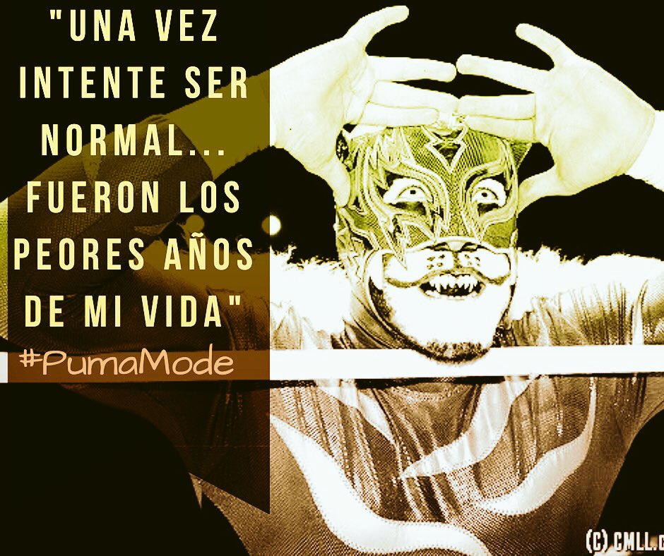 PumaKingOficial's tweet photo. ¡Hoy nos vemos en la Arena Coliseo de Guadalajara!
#PumaKing #DinastíaCasas
Lucha Libre @CMLL_OFICIAL
#PumaMode https://t.co/l8zxrVIdbS