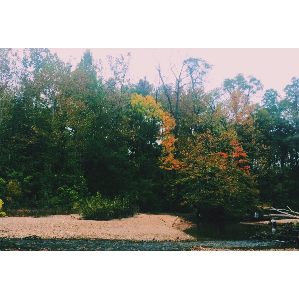 msamandau's tweet photo. thank you @DrPangansclass for such a wonderful class today, exploring nature and learning about Project Wild! https://t.co/5ckqTqcbK8