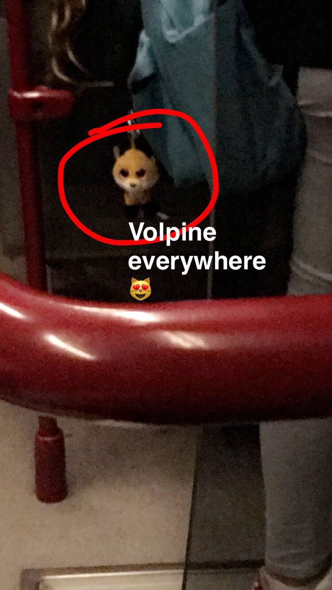 amo_i_panda_'s tweet photo. @spnlnv ecco cosa mi trovo davanti alle 6:45 del mattino 😻😂 https://t.co/GMcGvzgpLC