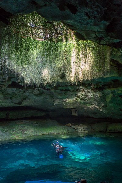 A8: Devil's Den is a must. An underground spring inside of a cave that's 33 million years old! ow.ly/lt4t305gifG #FLTravelChat