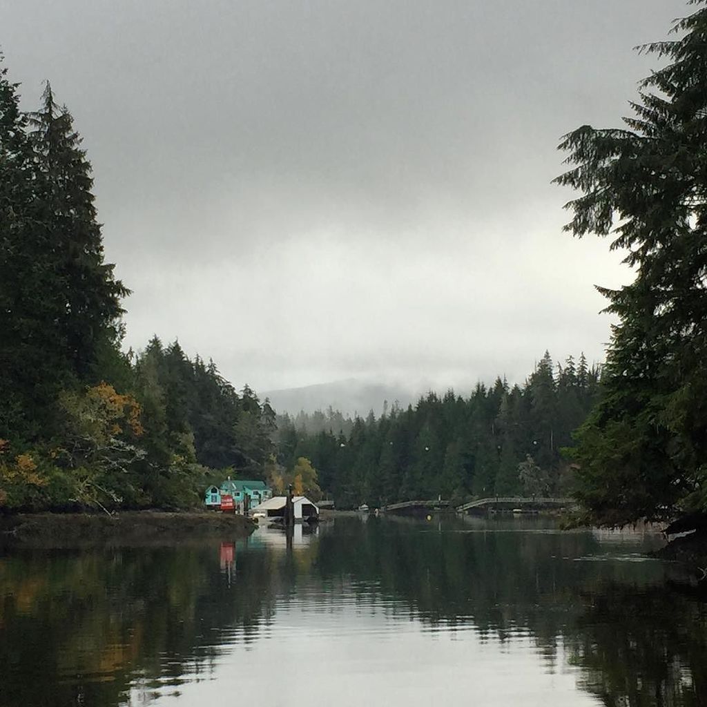 CarlaYoung's tweet image. Exploring the beach at Bamfield Marine Sciences Centre #bamfield #vancouverisland #westcoa… ift.tt/2ei3lac