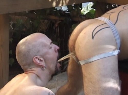 PervPiss's tweet image. Ultimate recycling, waste nothing #piss #pig #enema