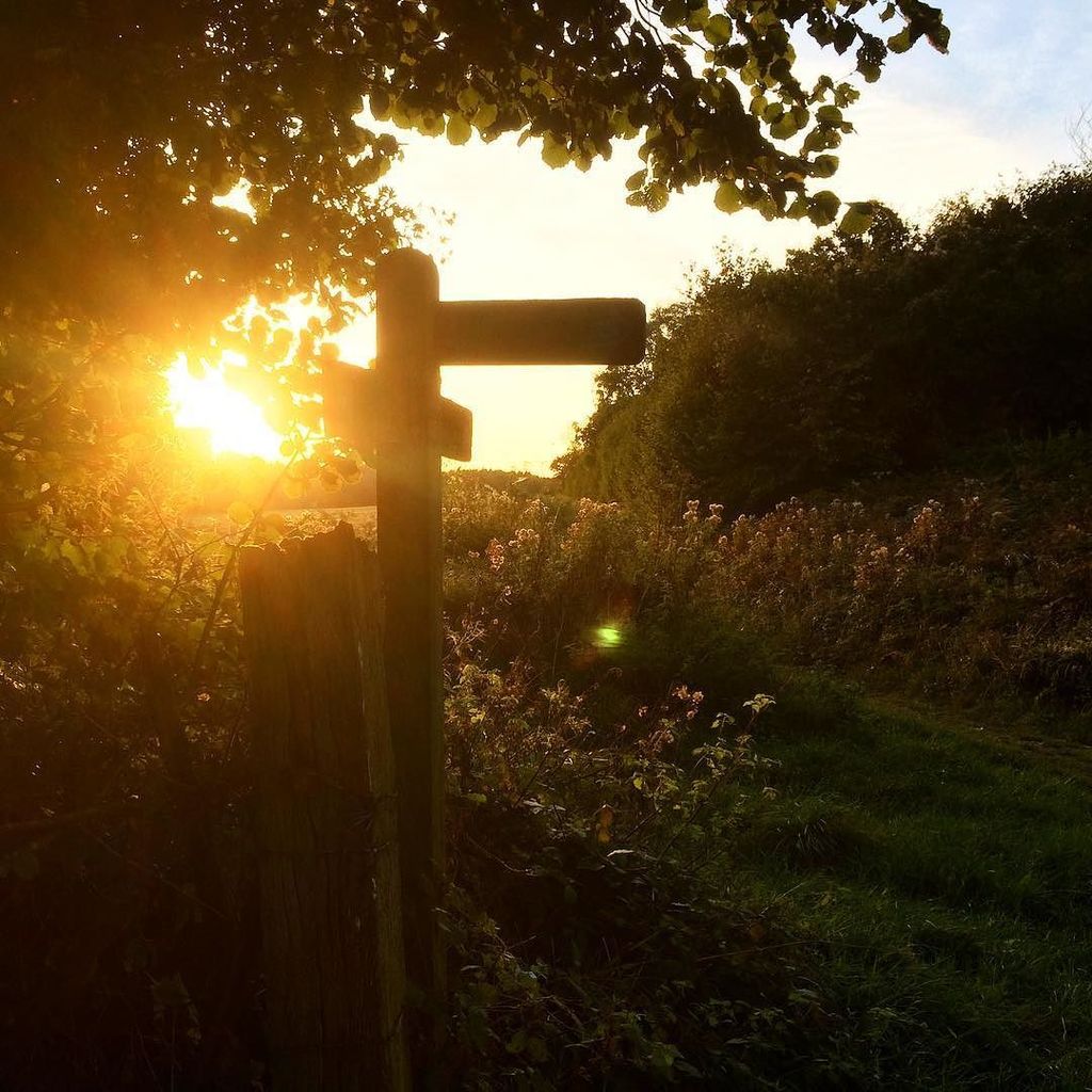 TheSouthDownsNT's tweet photo. #thisevening #slindon #autumn #evening #westsussex #southdowns #walkies #slindonestate #sun #countryside #ig_countr… https://t.co/iNe5dfUOvh