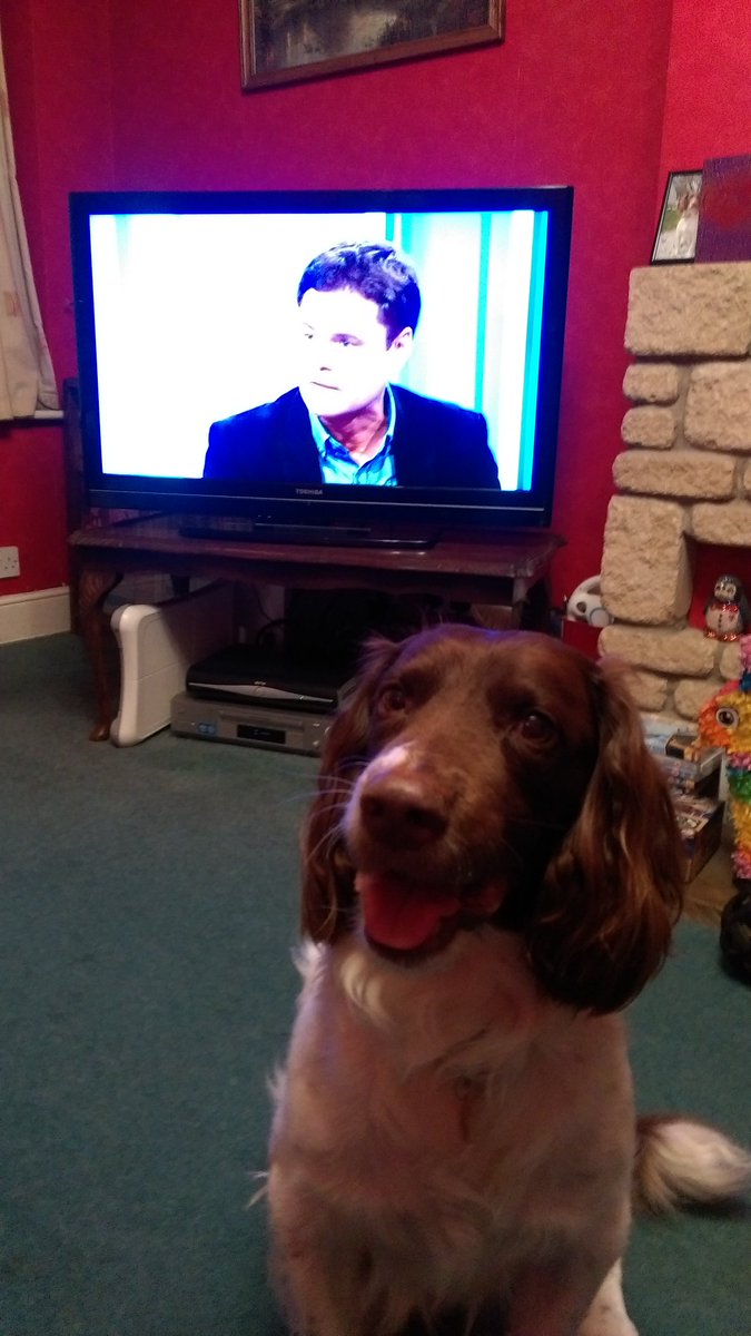 MoongirlRay's tweet photo. @BBCTheOneShow #puppylove https://t.co/rL3OqbUMtj