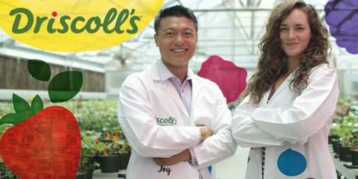 We're serious about happiness and growing the #finestberries. Take a look: bit.ly/2dhuf23