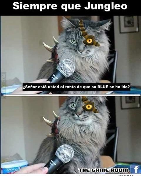 MinHyukLol's tweet photo. 😂 #LeagueOfLegends #Lolsport #Rengar https://t.co/vVZIDn4M9M