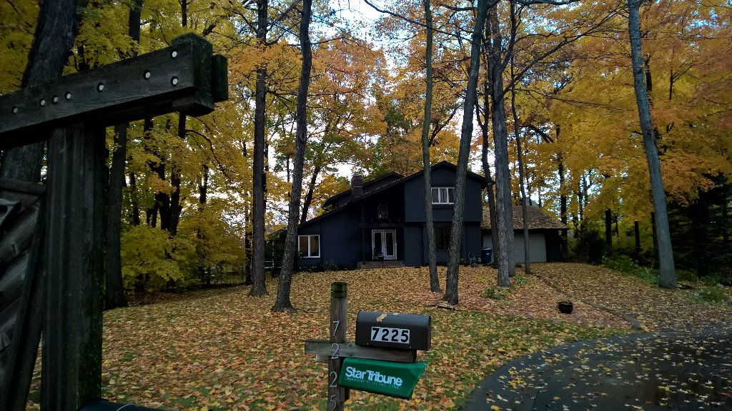 SwitchbackJames's tweet photo. @wccokingjohn ,  24 hours after clearing all the leaves... #prettyleafcontest https://t.co/3ehjfpGpYb
