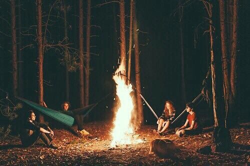 lifechooses's tweet photo. ✧choose one✧ https://t.co/WZ8ASUxCmb