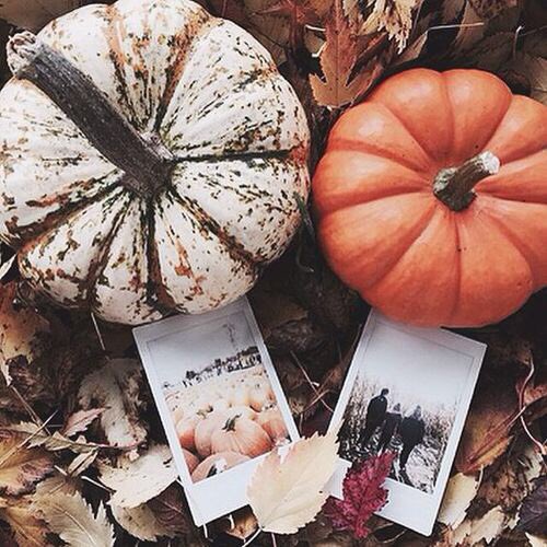 lifechooses's tweet photo. ✧choose one✧ https://t.co/WZ8ASUxCmb