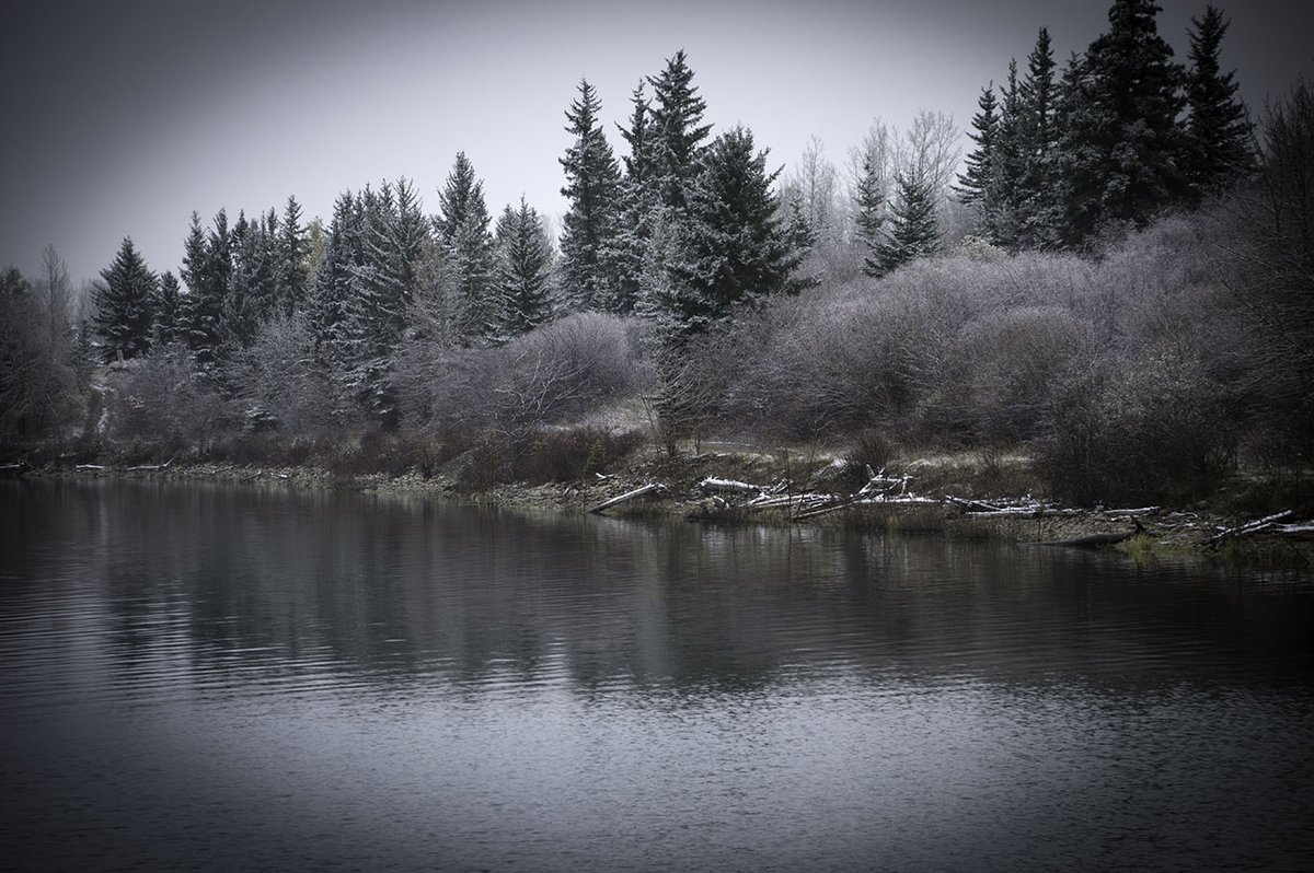 syberch's tweet photo. Frosty morning at Glenmore Lake #yyc #yyccapture #capturecalgary @CTVdavidspence @CTVStanfield @CTVCalgary @weathernetwork https://t.co/SVSl0WtIQl